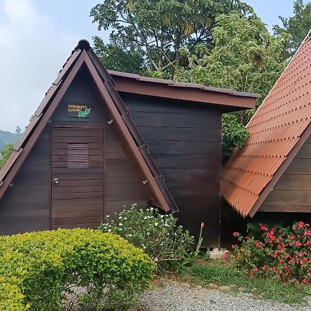 Отель Casa Tucan Glamping Турриальба Экстерьер фото